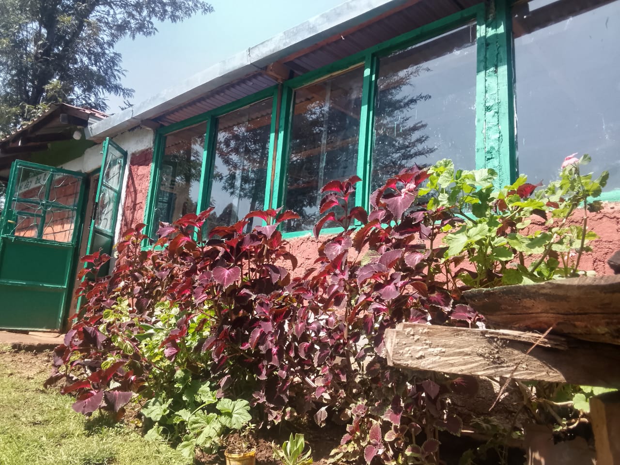 Victory Rehabilitation Centre Facility